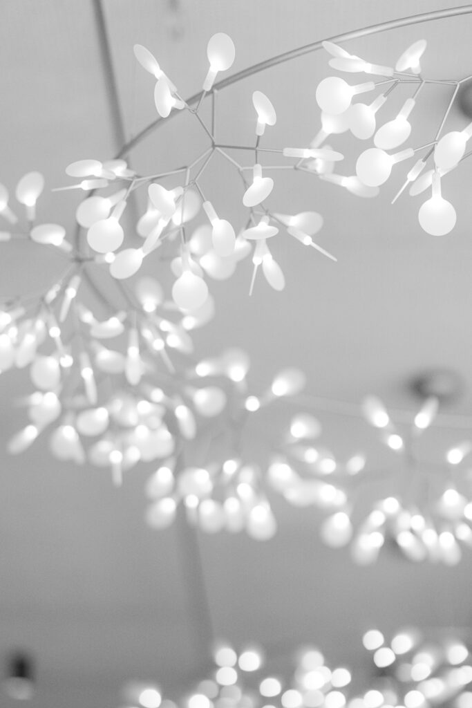 Black and white detail of Mairie de Lancy interior at civil wedding Geneva