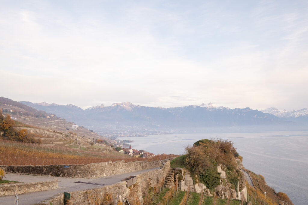 Lavaux vineyard terraces in autumn colours overlooking Lake Geneva and Swiss Alps